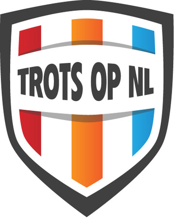 Artikel van prof Arno Korsten over gemeenten